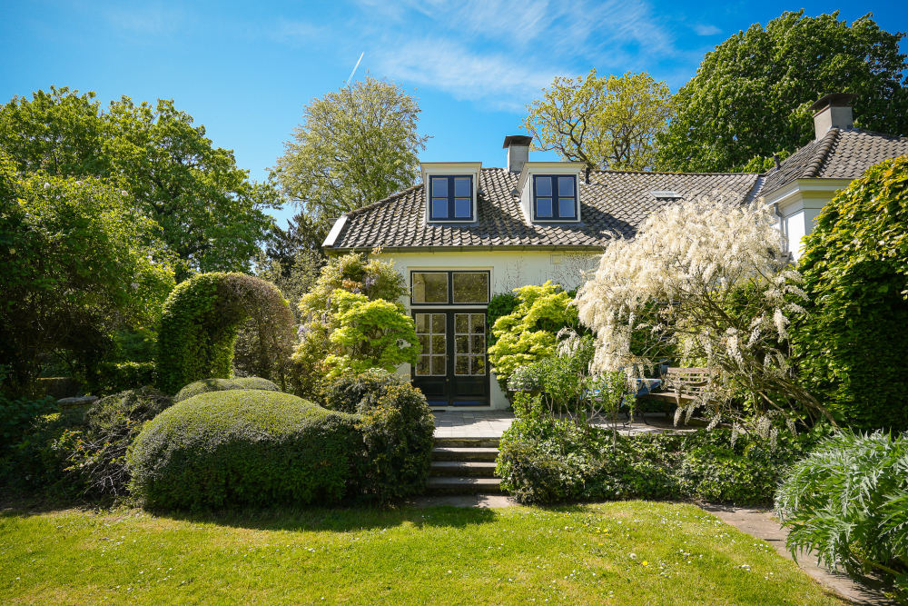 Foto 34 1000w