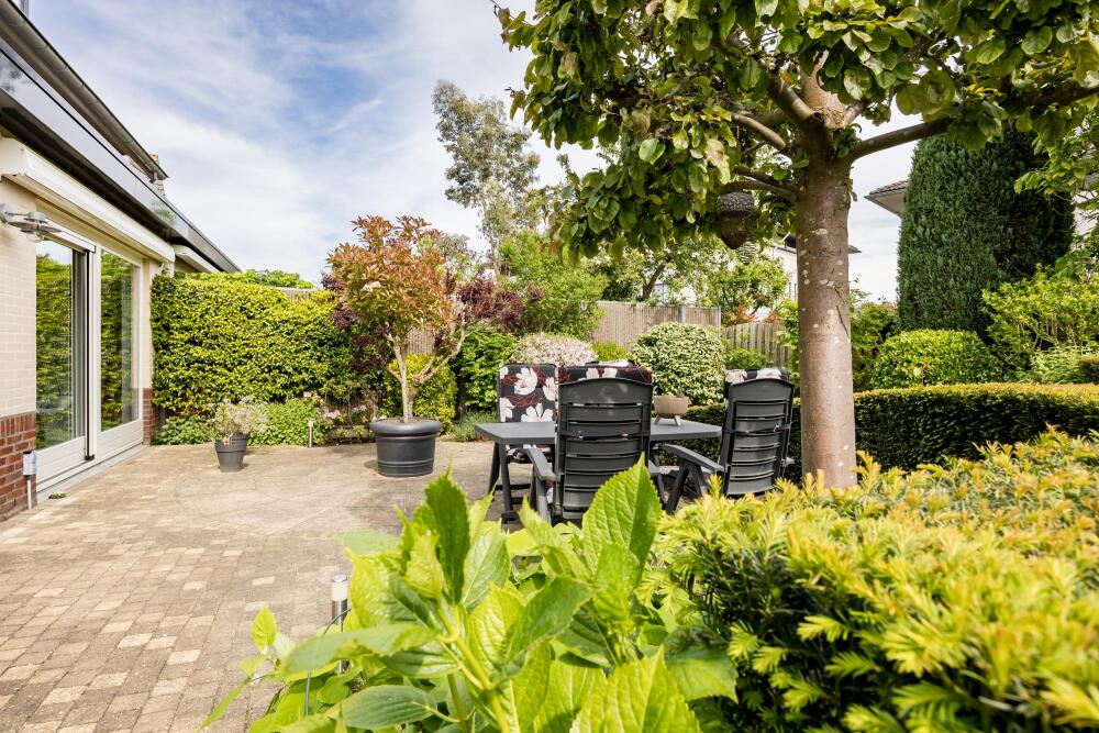 Foto 26 1000w