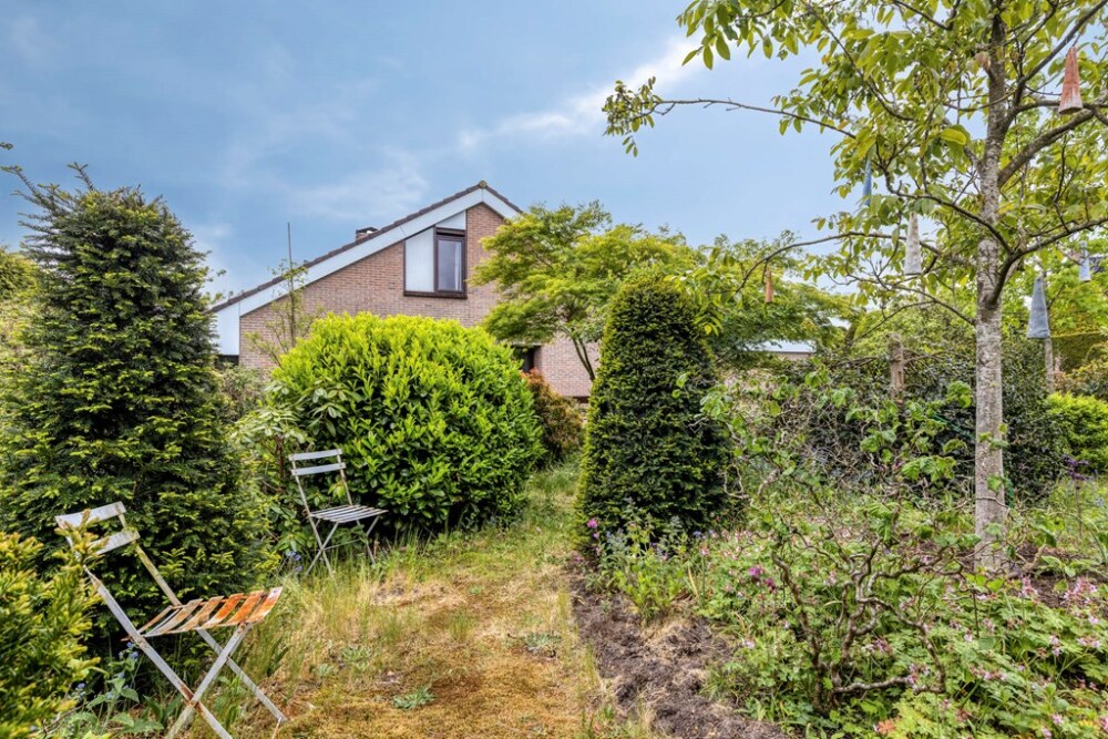 Foto 62 1000w