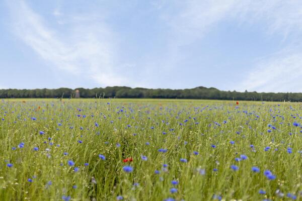 photo 29 Diepenheimseweg 25 a