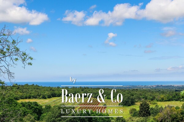 photo 4 Istria, Višnjan, furnished villa with garden, unique location