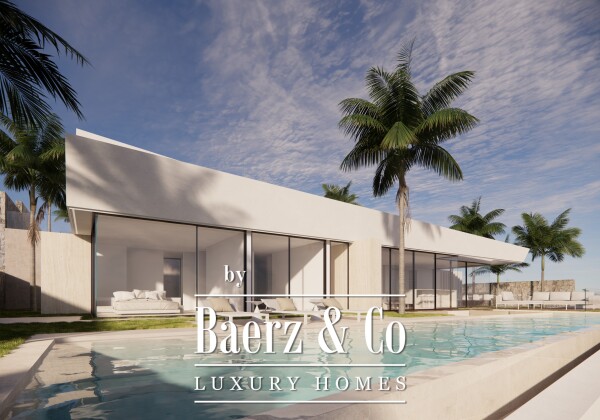 photo 5 Amazing villa in the making