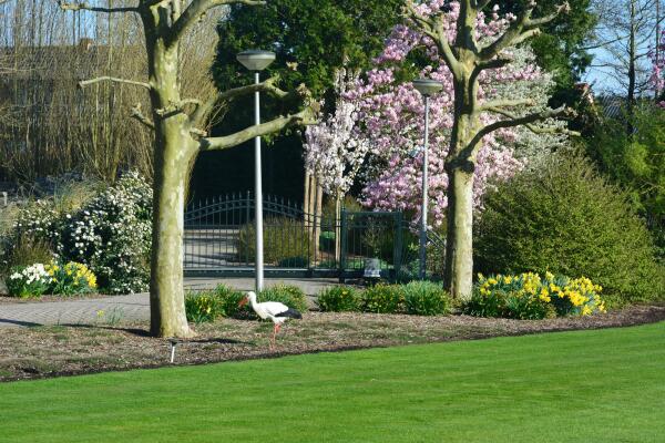 photo 64 Lange Meentweg 4