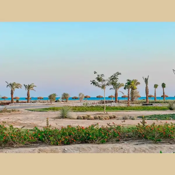 photo 10 # 1116 Luxury Villa in Soma Bay