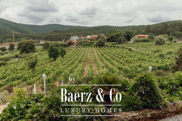 photo 5 Magnificent Manor House with winery