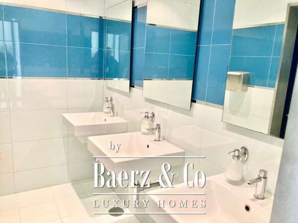 photo 25 Wonderful farm near the Vouga River