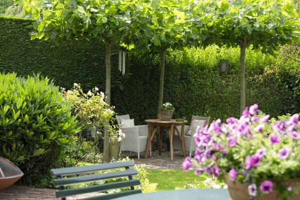 photo 30 Lijsterlaan 2 b