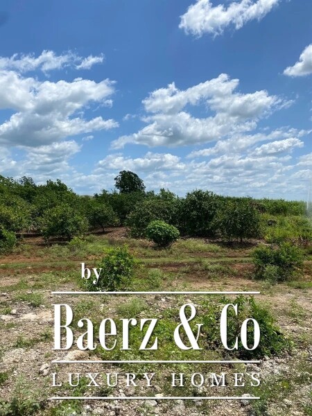 photo 38 Street 24 x 29 