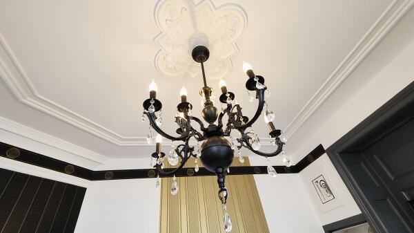 photo 22 Anna Paulownastraat 21