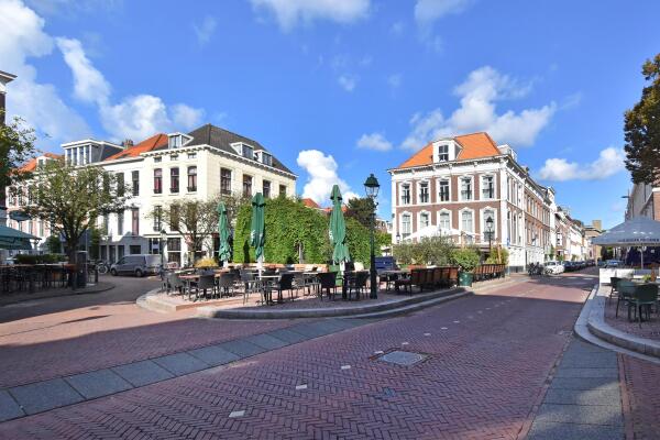 photo 41 Anna Paulownastraat 21