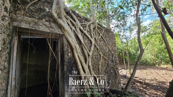 photo 16 Sagrado - Valladolid 