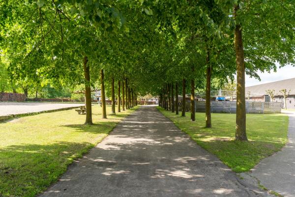 photo 7 Kapelstraat 12 14